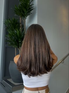 Medium Length Subtle Layers, Butterfly Haircut On Thick Hair, Long Haircut One Length, Long Mid Length Haircut, Short V Cut Hair With Layers, Layered Ends Long Hair, Mid Long Length Hair With Layers, Scandinavian Brown Hair, Straight Cut Hair Medium