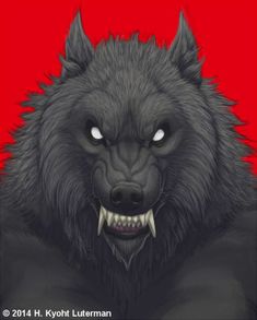 a black wolf with white teeth and fangs