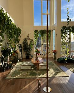 a living room filled with furniture and lots of plants on top of the wooden floor