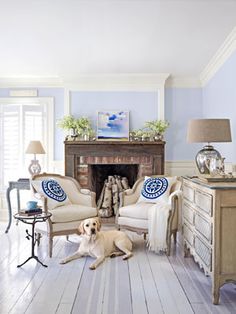 a dog laying on the floor in a living room with blue walls and white furniture