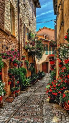 an alley way with potted plants and flowers on either side, surrounded by brick buildings