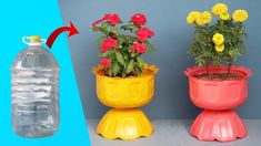 three plastic flower pots with flowers in them and one has water bottle attached to it