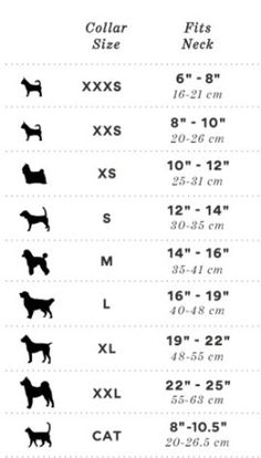 the size chart for dogs and their sizes