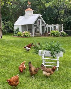 chickens and roosters are walking around in the grass near a white bench with a cupola on it