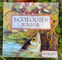 There is a box with a pond scene on the front; a fish comes out of the water with a dragonfly, bee, flowers, and lily pads. Biology Games, Trophic Level, Forest Games, Forest Life, Biology Facts, Biology Teacher, Food Web, Living Books, Science Gifts