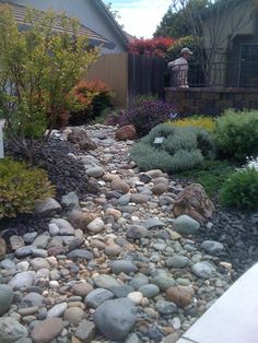 a garden with rocks and plants next to a house