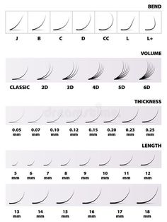 Lash Extension Curl Chart, Lash Tech Tips, Types Of Eyelash Extensions, Table Vector, Eyelash Extensions Classic, Eyelash Extension Course, Lash Extension Training, Lash Maps, Lash Training