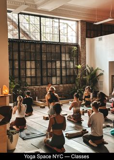 a group of people sitting on yoga mats in a room with large windows and plants