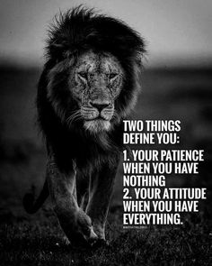 a lion walking across a field with the words two things defense you 1 your patience when you have nothing 2 your attitude when you have everything