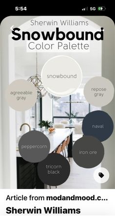 the snowbound color palette is shown in black, white and gray colors with text above it