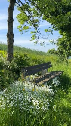 a park bench sitting in the middle of a lush green field next to a tree