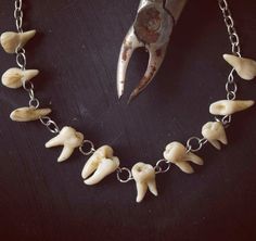 20 inches 😜 Teeth Necklace, Gothic Jewellery, Human Teeth, Taxidermy Art, Teeth Jewelry, Tooth Necklace, Bone Jewelry, Gothic Earrings, Goth Jewelry