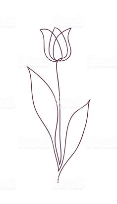 a single line drawing of a flower on a white background royalty photo and royalty illustration