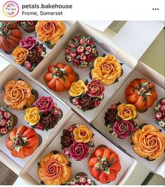 there are many cupcakes in the box with flowers on them and pumpkins