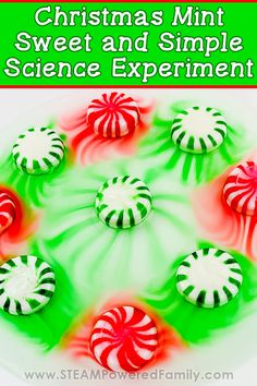 christmas mint sweet and simple science experiment for kids to learn how to make candy canes