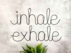 a potted plant sitting on top of a table next to the words inhale