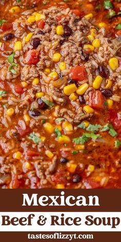 mexican beef and rice soup in a bowl