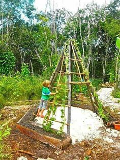 a little boy standing on top of a wooden structure in the woods with plants growing out of it