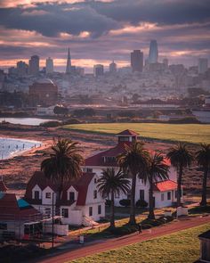 a view of the city skyline with palm trees and buildings in the foreground at sunset