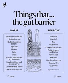 Love this post by @goodnesslover about the importance of a healthy gut barrier! 👏👏👏 "Leaky gut is where the lining of our gut becomes porous, allowing waste products and toxins, food proteins, pathogenic bacteria and other compounds to seep through the membranes and enter the blood stream. Your immune system then mounts a response to what it sees as foreign bodies in the bloodstream, resulting in inflammation, immune dysregulation and chronic disease." #guthealth #leakygut #wellness #nutrition #vitamind #gut #gutbrainaxis #inflammation #digestion #healthy #thenutritioninstitute Probiotics Prebiotics, Gut Health Diet, Prebiotics And Probiotics, Leaky Gut, Hormone Health, Health Knowledge, Healthy Gut, Health Info, Health Facts