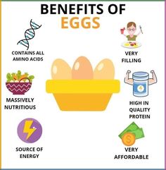 Benefits of Eggs | Health | Fitness Egg Farming, Benefits Of Eggs, Benefits Of Eating Eggs, Running Trails, Egg Benefits, Medical Words, Chicken Shop, Improve Nutrition, Eating Eggs