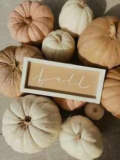 pumpkins and gourds are arranged in a circle with a sign that says fall