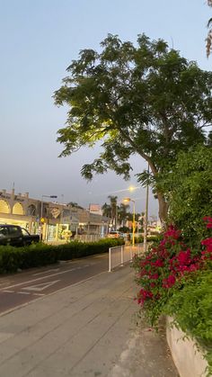 an empty street with cars parked on the side and flowers growing along the curb next to it