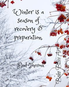 the words winter is a season of recovery and preparation are written on snow covered branches