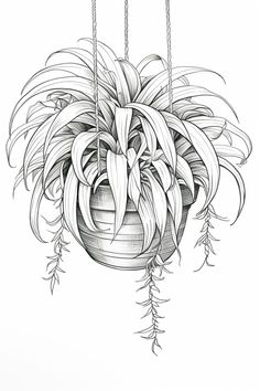 a drawing of a potted plant hanging from a rope