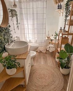 a bathroom with wooden floors and plants on the counter, along with a round rug