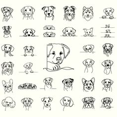 the dog's faces are drawn in black and white