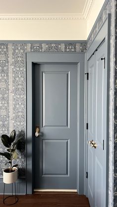 an empty hallway with blue walls and wooden floors, painted in farrowe gray