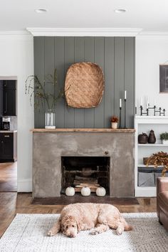 a dog laying on the floor in front of a fireplace with a wicker basket above it