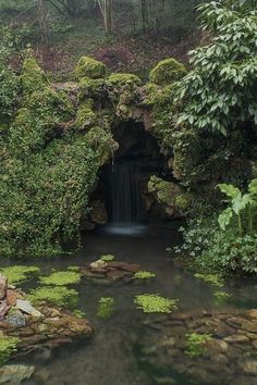 a small waterfall in the middle of a lush green forest filled with rocks and plants