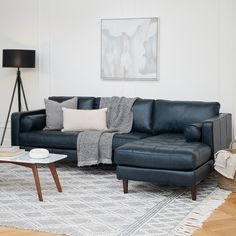 a living room with a blue leather couch