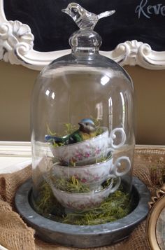 a glass cloche with teacups in it on top of a tray filled with moss