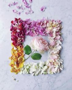 flowers arranged in the shape of a letter on a marble surface with petals scattered around it