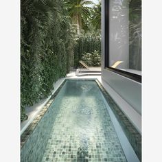 an indoor swimming pool surrounded by greenery