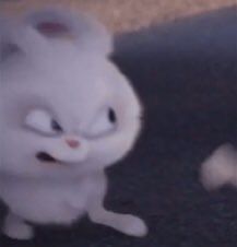 a white cat sitting on top of a black floor next to a stuffed animal bunny