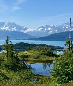 the mountains are covered with snow in the distance, and there is a lake surrounded by trees