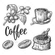 hand drawn coffee set with beans, cup and saucer