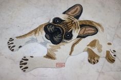 a brown and white dog laying on top of a floor