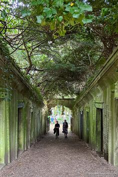 Highgate Cemetery London Walking Tours, Places To Visit In London, Highgate Cemetery, London Holiday