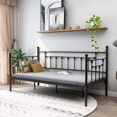 a living room with a metal daybed and potted plant on the shelf above it