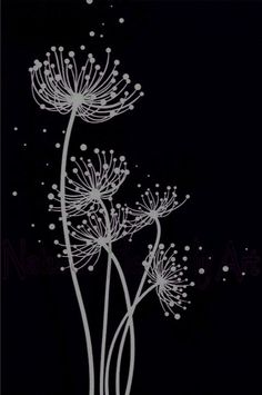 three dandelions on a black background with white dots in the center and bottom