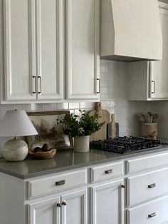 a kitchen with white cabinets and an island in front of the stove top is filled with potted plants