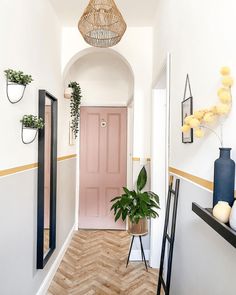 a pink door is in the hallway next to a potted plant and two mirrors