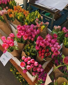 many different colored tulips are on display for sale