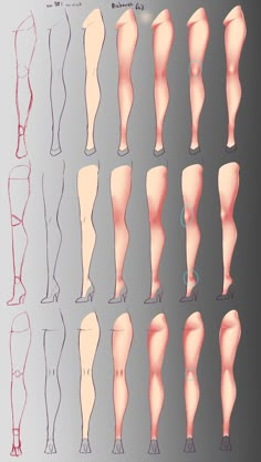 an image of different types of legs and feet in the same color as shown on this poster