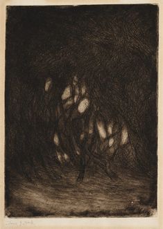 an ink drawing of trees in the dark